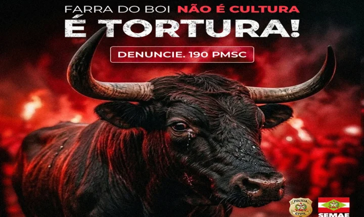 SEMAE reforça conscientização sobre combate à farra do boi em Santa Catarina 