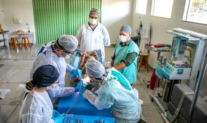 UFSC desenvolve pesquisa inédita sobre regeneração óssea com estimulação elétrica